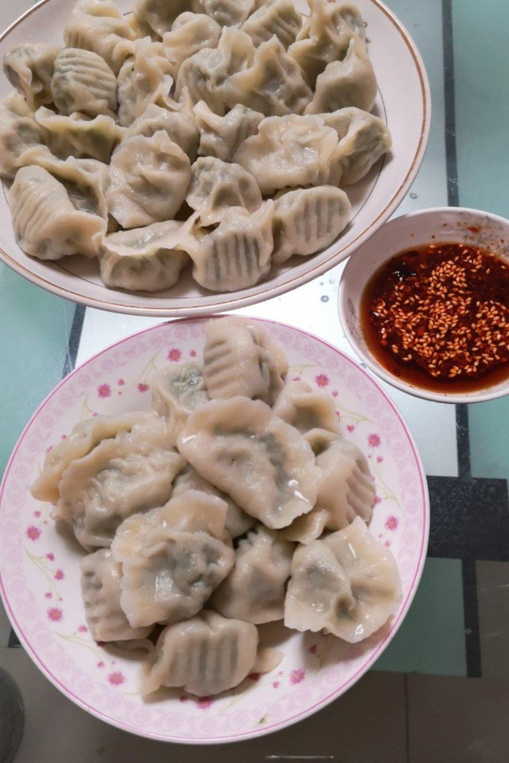 叮当走天涯做的苜蓿羊肉饺子