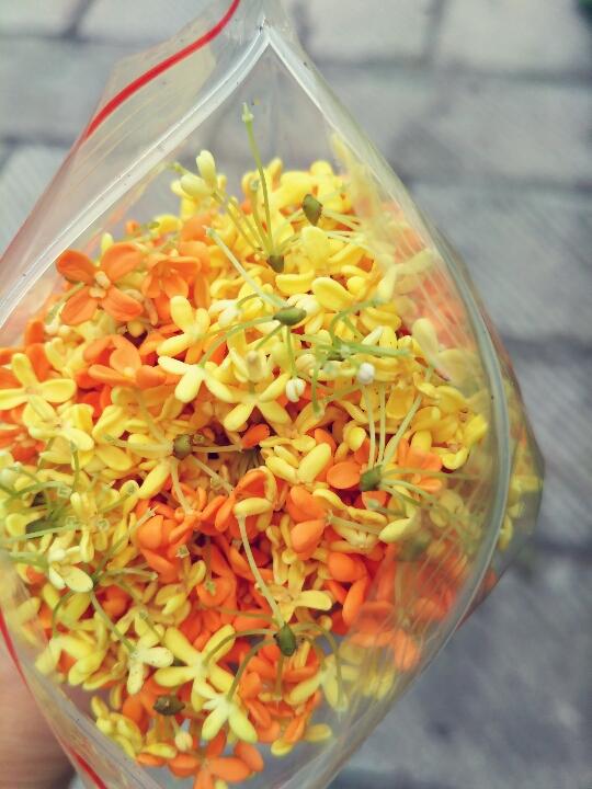 自制桂花蜜酱