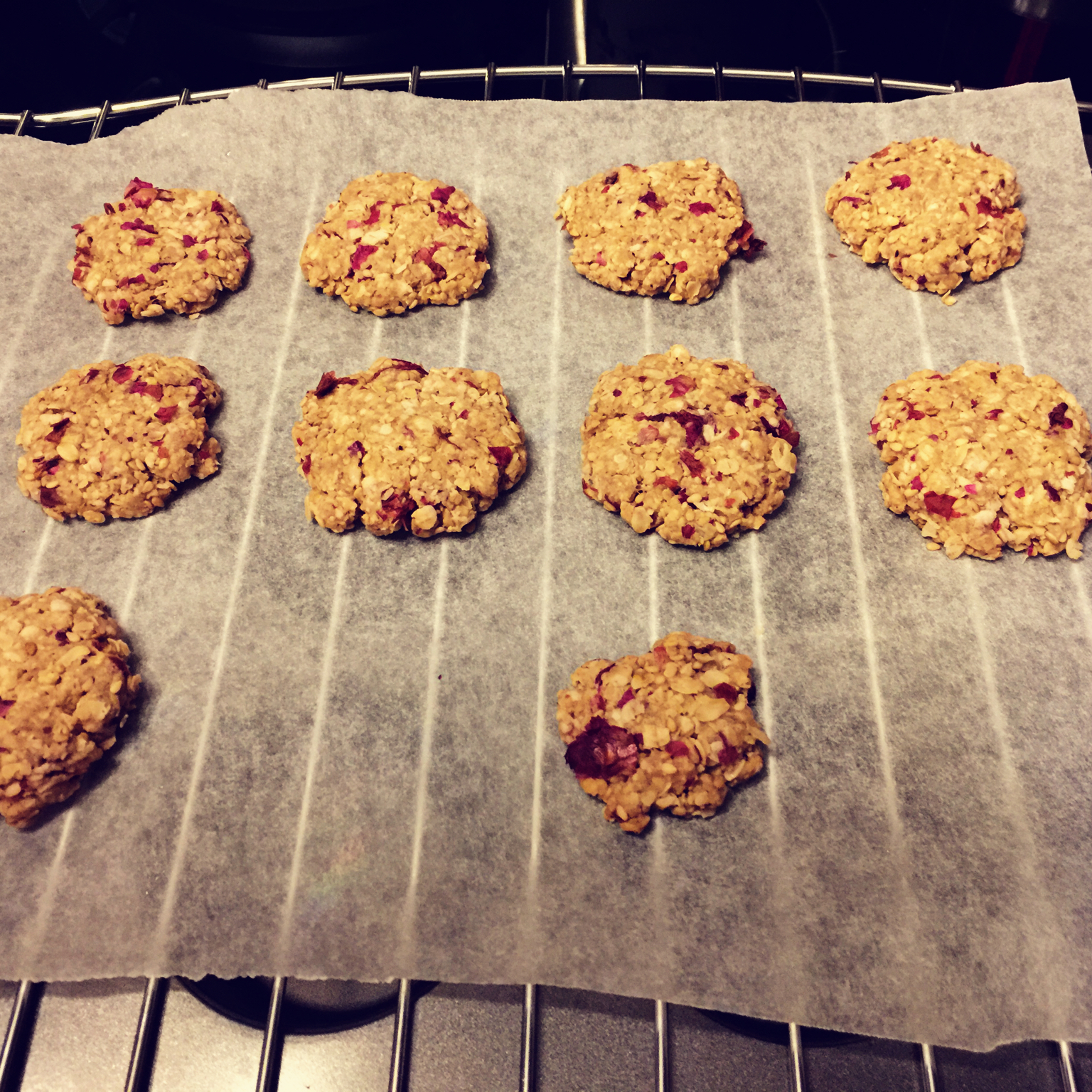 中岛老师的燕麦饼干