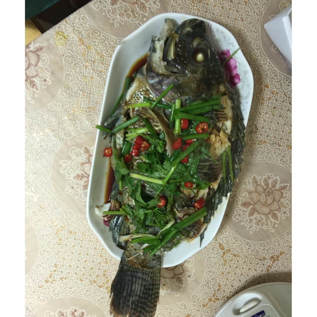 清蒸鱼（鲈鱼/多宝鱼/桂花鱼/石斑鱼……）