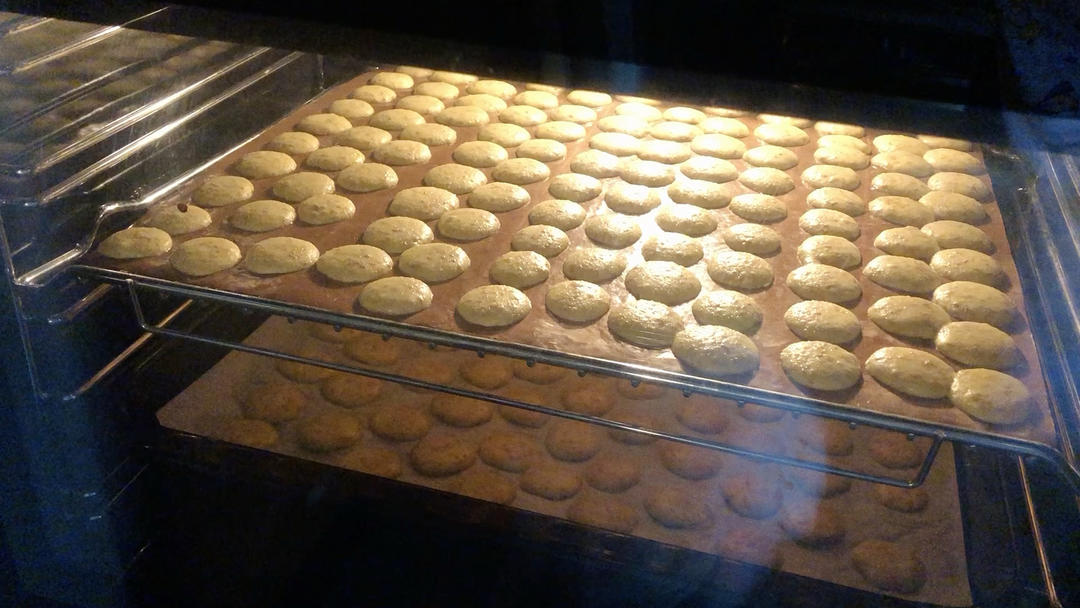 脆香 鸡蛋芝麻薄饼