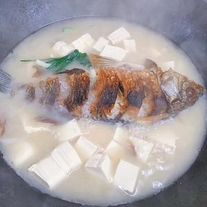 奶白奶白的鲫鱼豆腐汤—减脂必备 下奶神器 清香可口的做法 步骤6