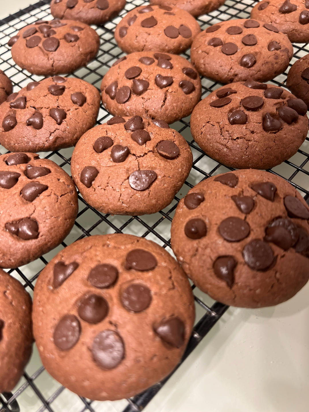 🍪巧克力曲奇｜免打发❗️零失败一次成功❗️