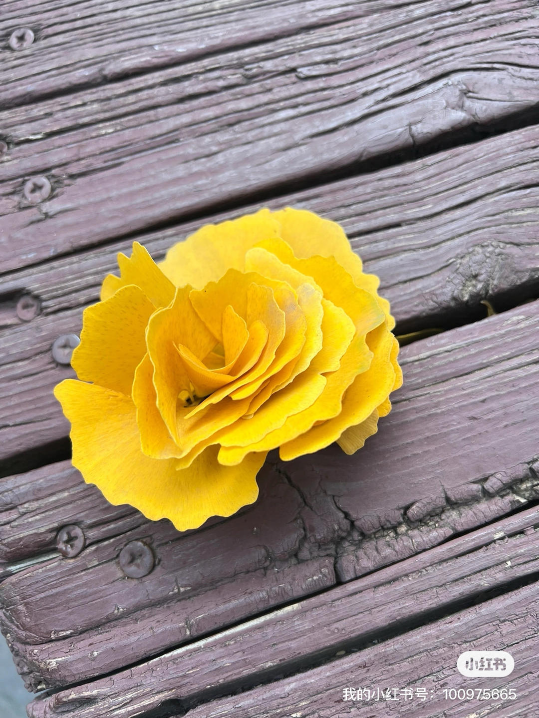 布袋里的二氧化硅