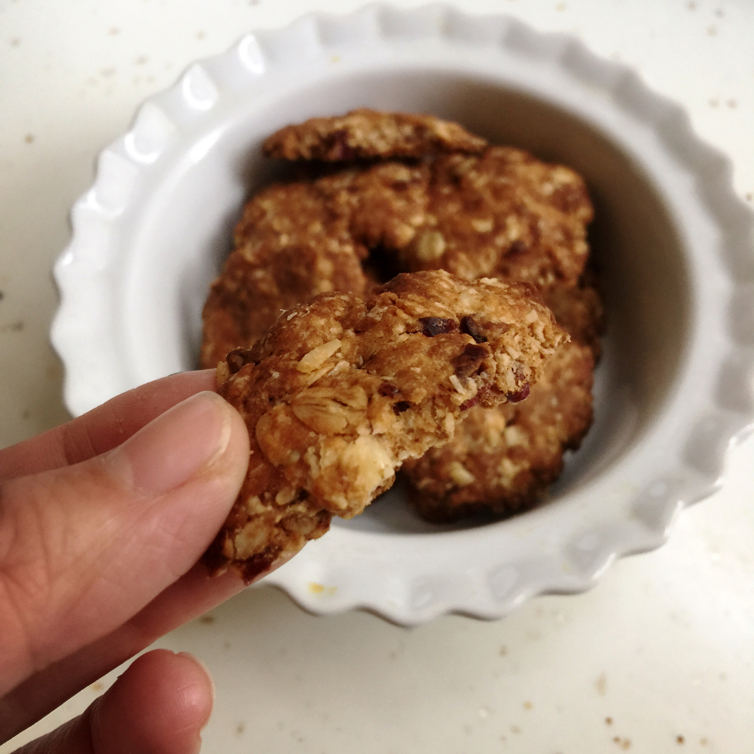 燕麦饼干