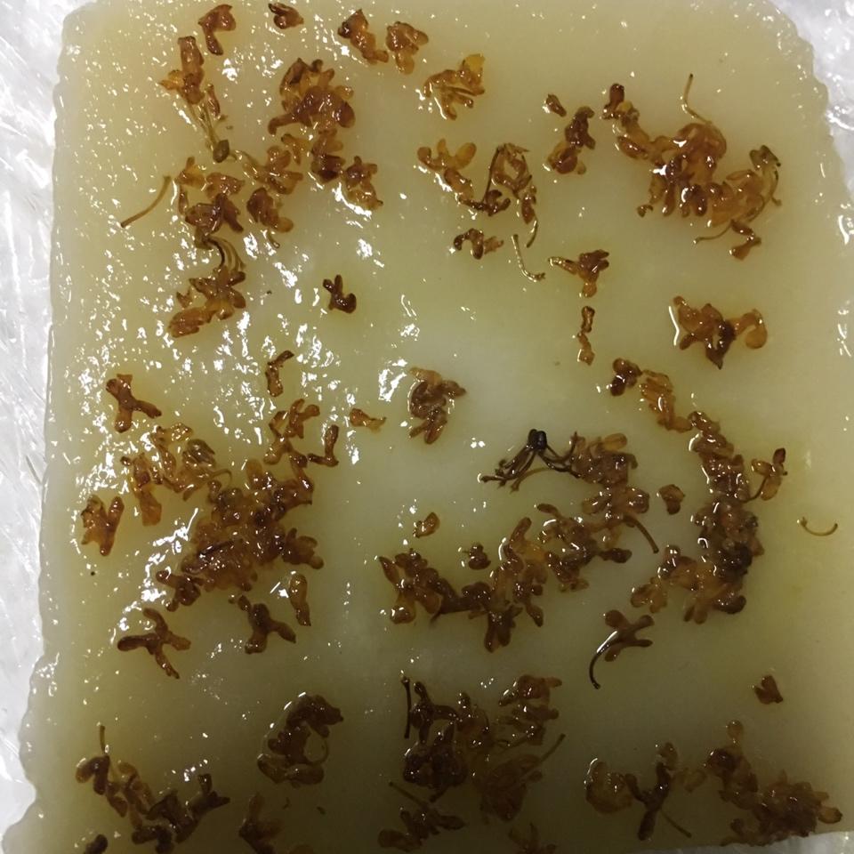 桂花拉糕