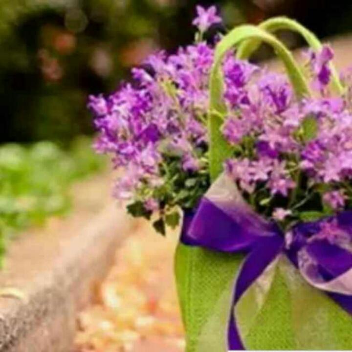 爱尚我家_草原大地