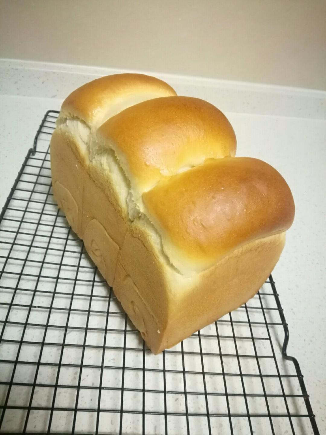 【北海道吐司】体验经典-妃娟100%中种，冷藏冰种的美味