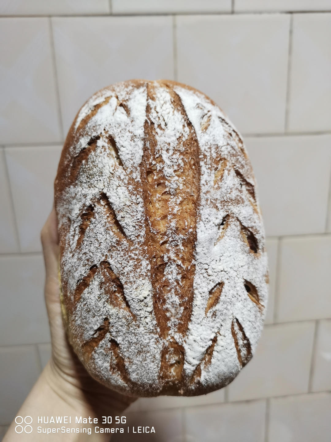 全麦坚果包软欧包