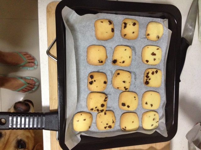 蔓越莓饼干（君之版改良）