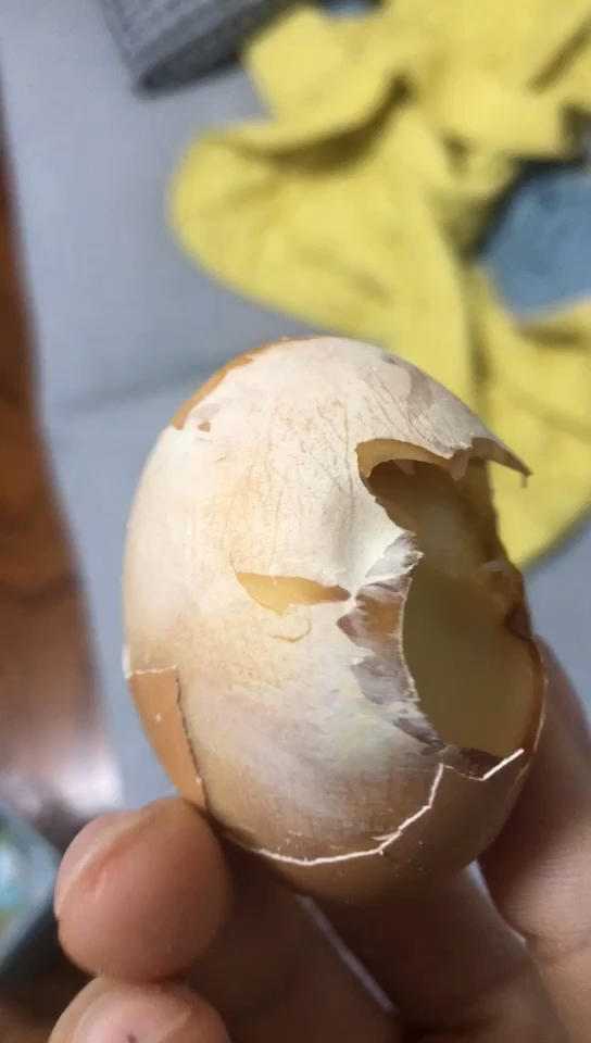 盐焗鸡蛋空气炸锅版（粗盐版和食盐版）