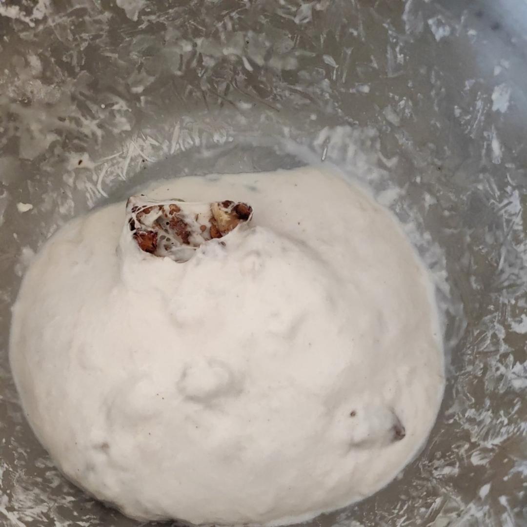 天然酵种鲁邦种硬欧包Sourdough Bread