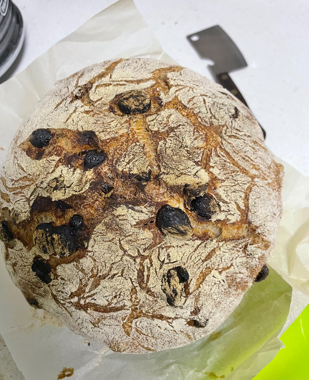 混合酵母面包1:  红酒葡萄核桃包
