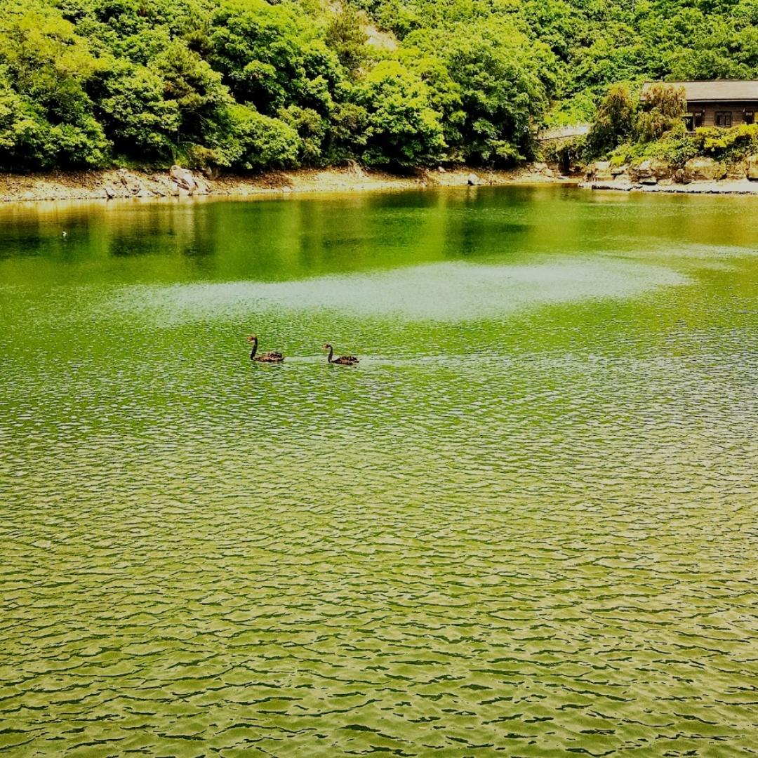 蝈蝈2153