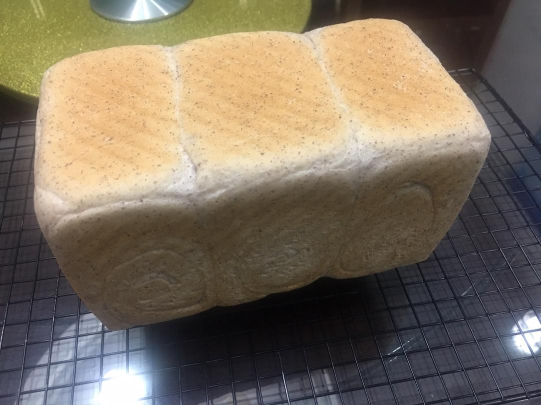 《Tinrry+》软绵绵的白吐司