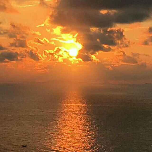 欣欣向荣百花争妍