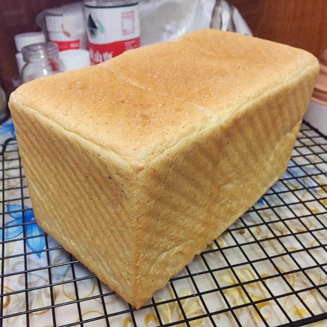 全麦吐司～17小时冷藏中种