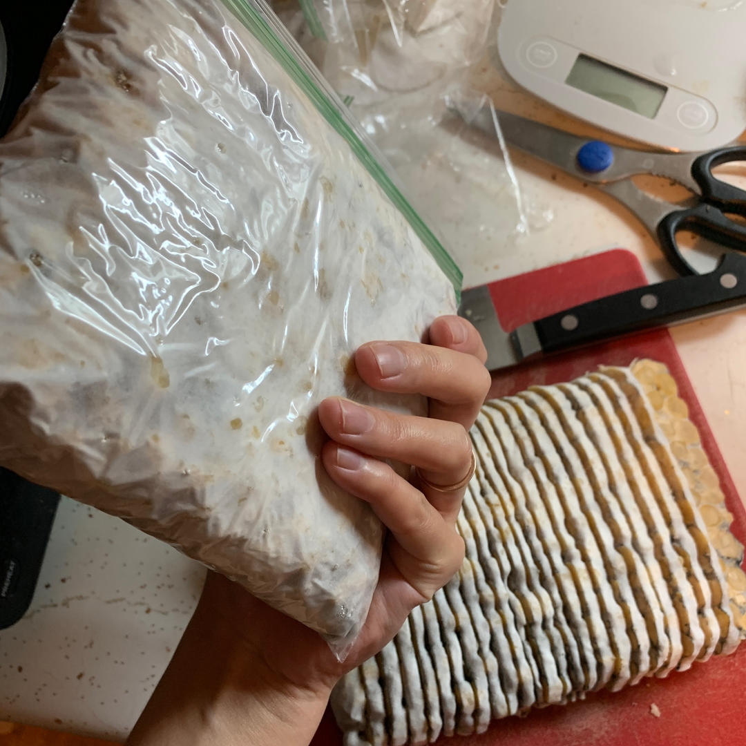 自制鹰嘴豆天贝丨发酵·豆类