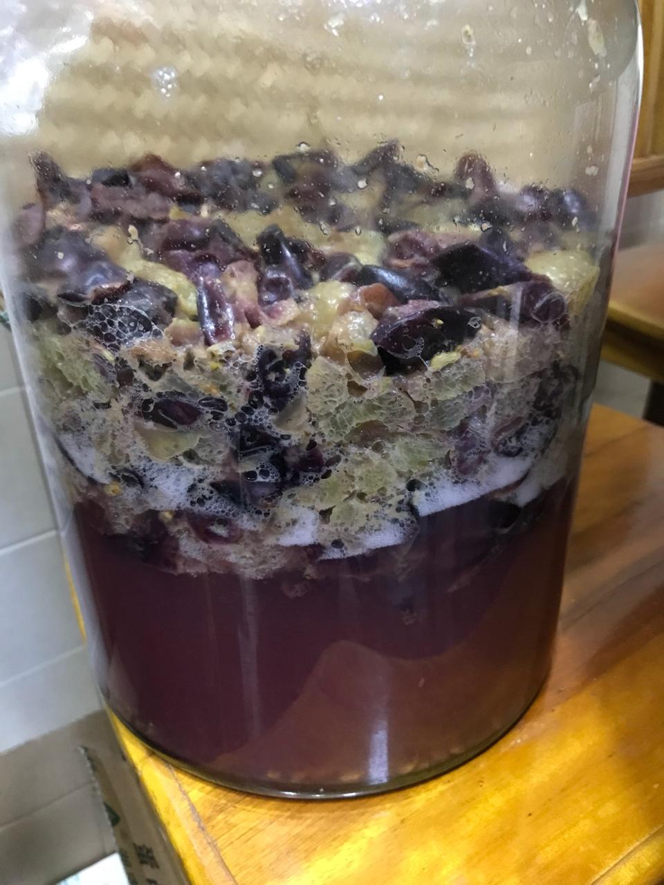 兜兜里的糖做的自酿葡萄酒