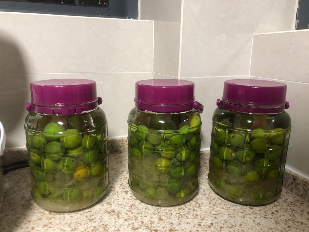 【青梅酒】梅子的沉醉时光（已填坑）