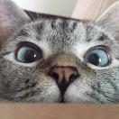 白白白白白白陆