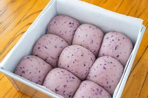 软绵绵鲜蓝莓牛奶包（无蛋版）的做法 步骤25