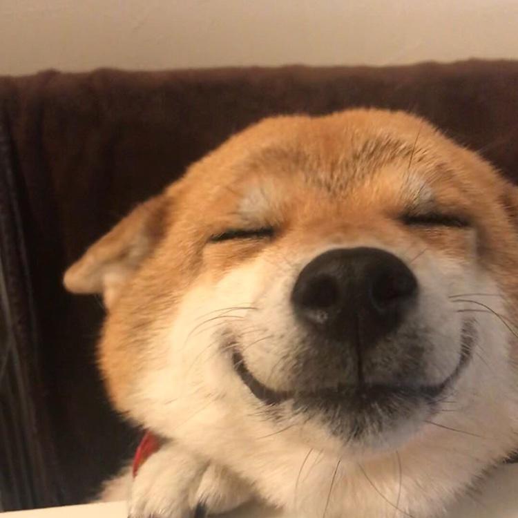 想学做饭的刘茶