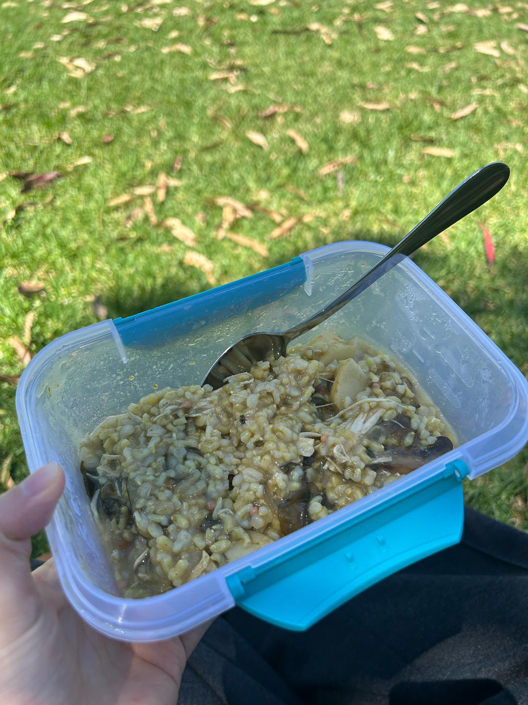 低脂营养零厨艺的沼泽焖饭 Numa(Swamp)