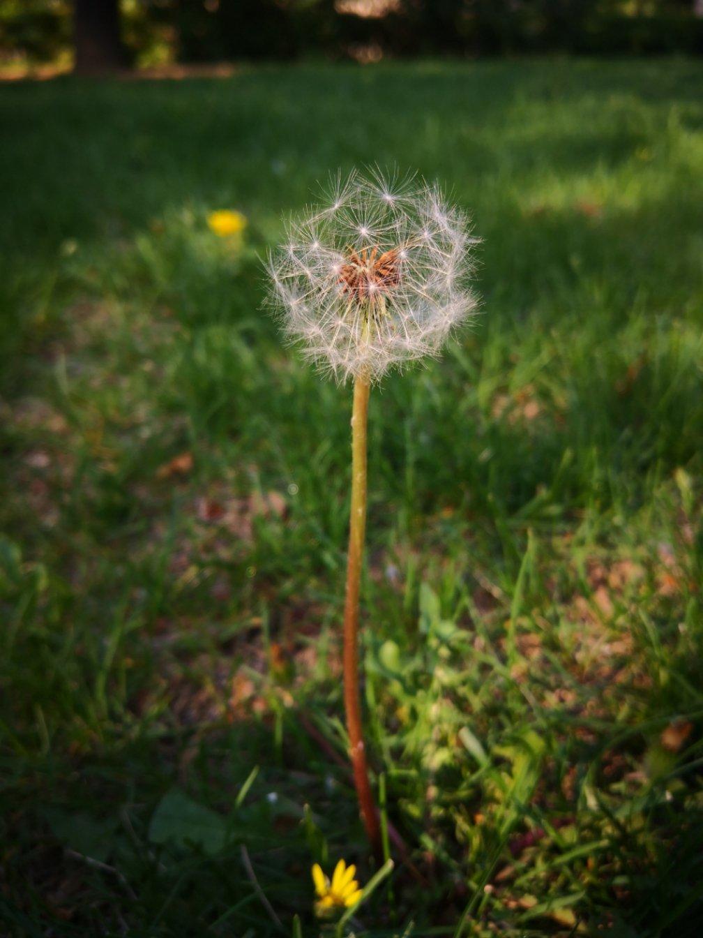 早餐•2019年5月2日