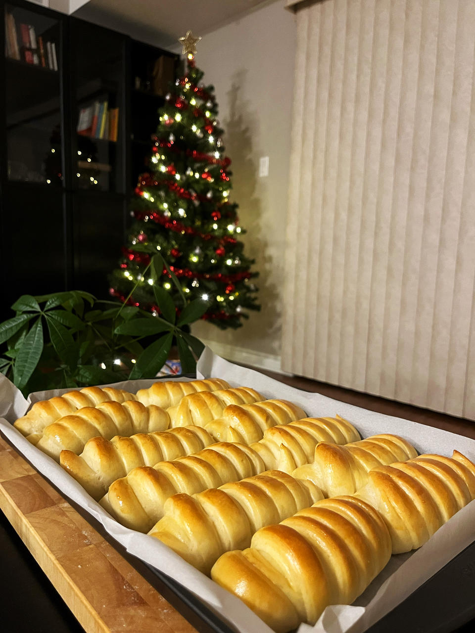 一次发酵❗️毛毛虫排包㊙️新手小白放心做