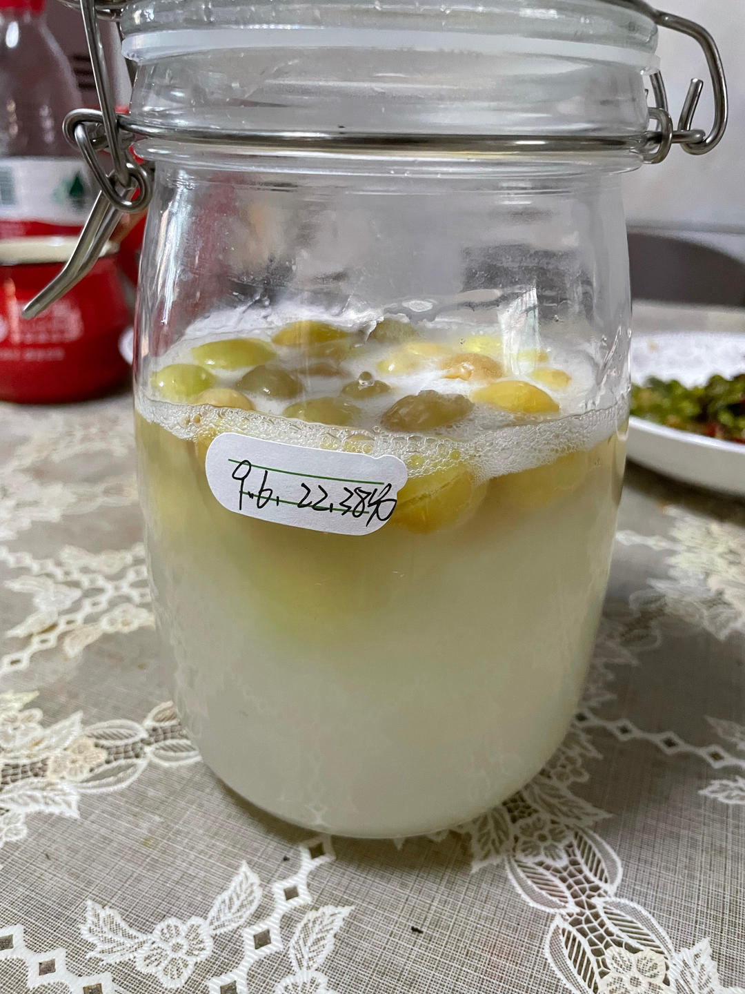 水果天然酵母液制作（成功）