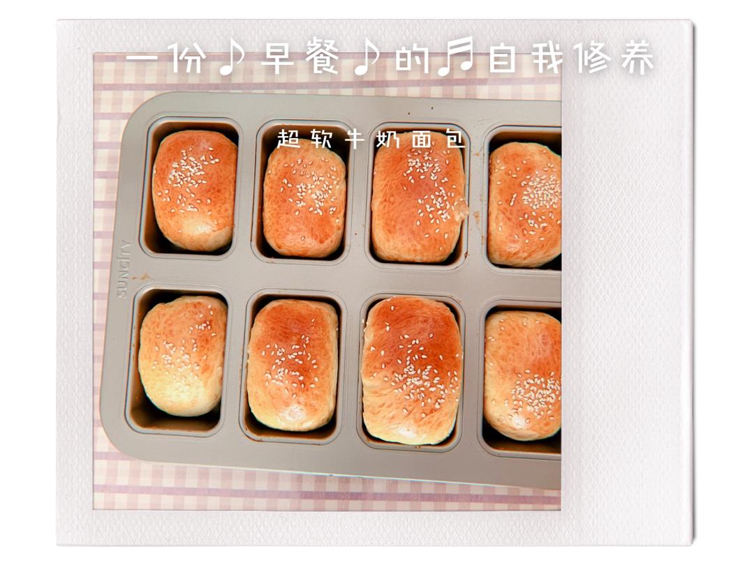 汤种奶香小餐包