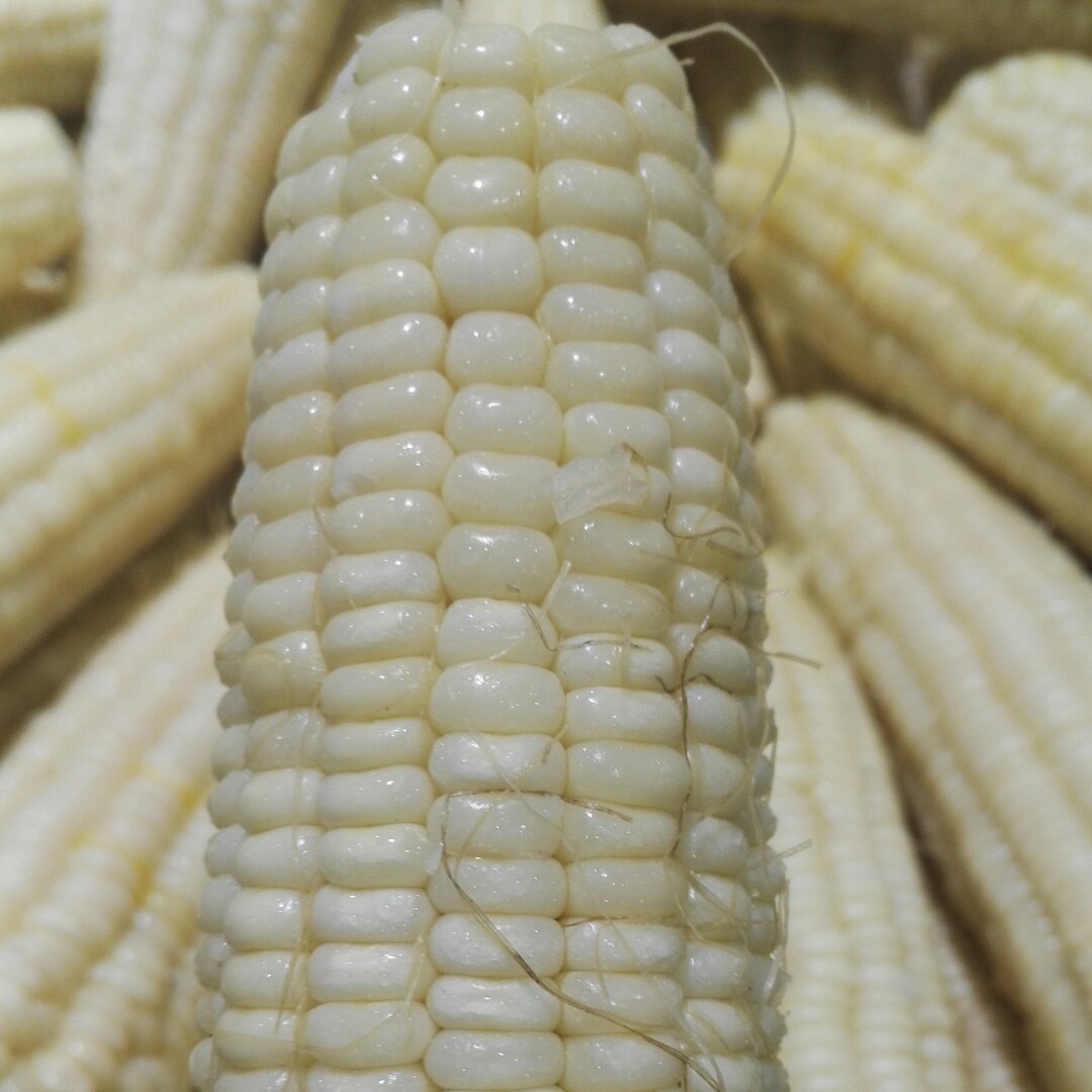 伱喜欢如何吃玉米？
