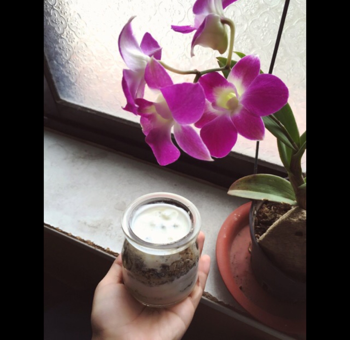 隔夜酸奶杯—可以媲美提拉米苏的美味