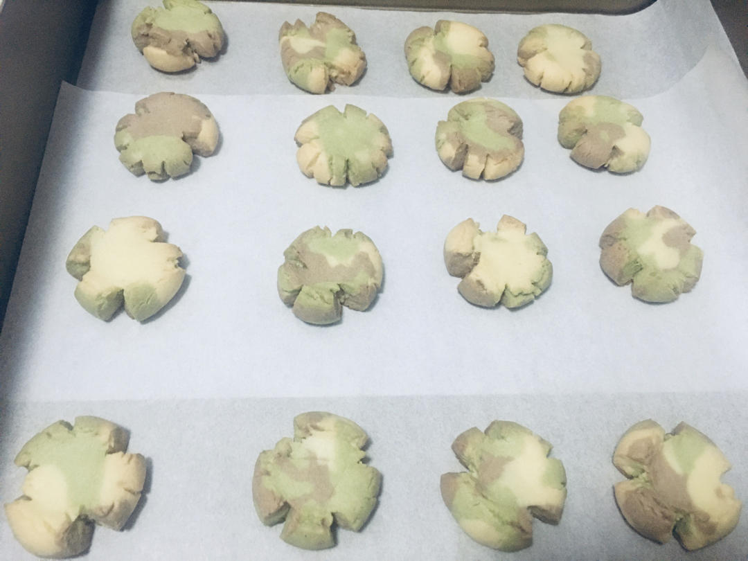 迷彩玛格丽特小饼干‼️超可爱的三色组合