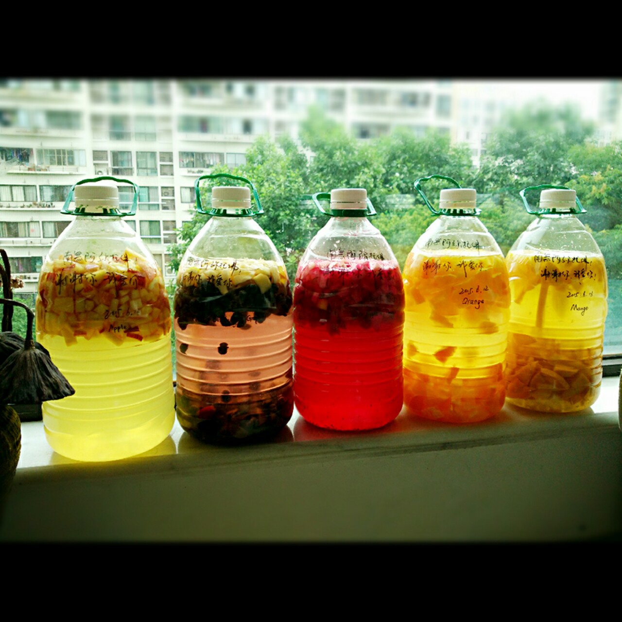 水果酵素