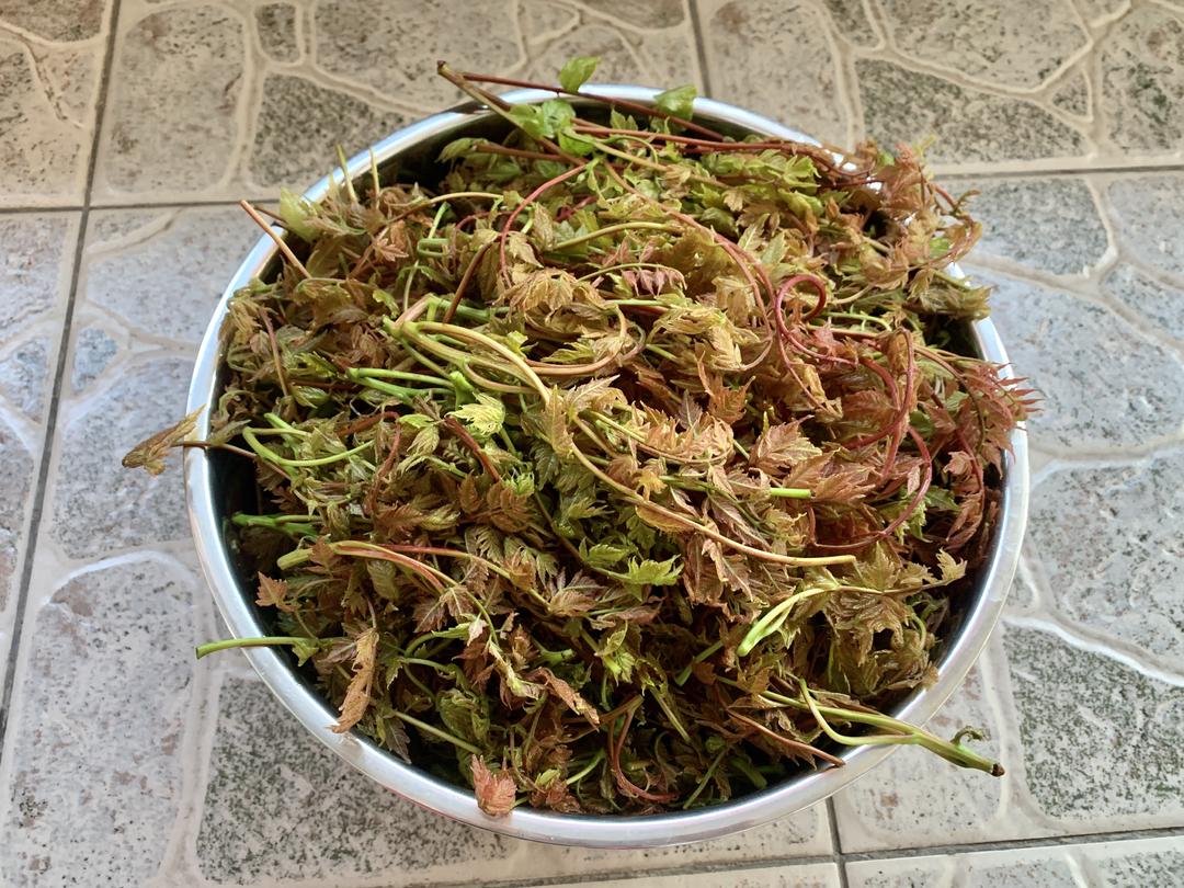 野菜:茉莉芽儿馅饼的做法 步骤1