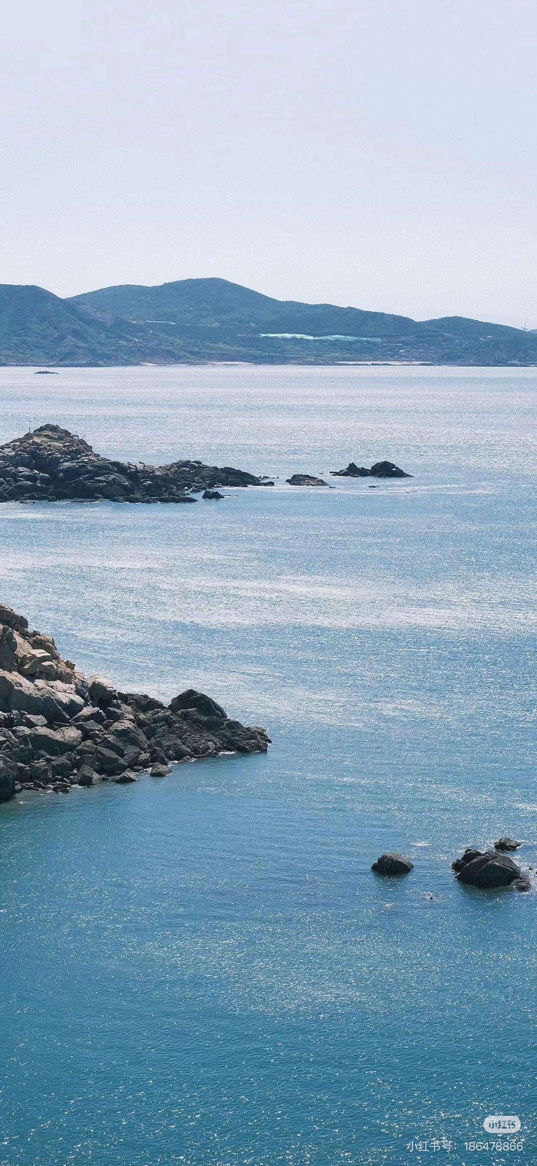 红豆晚上吃了啥