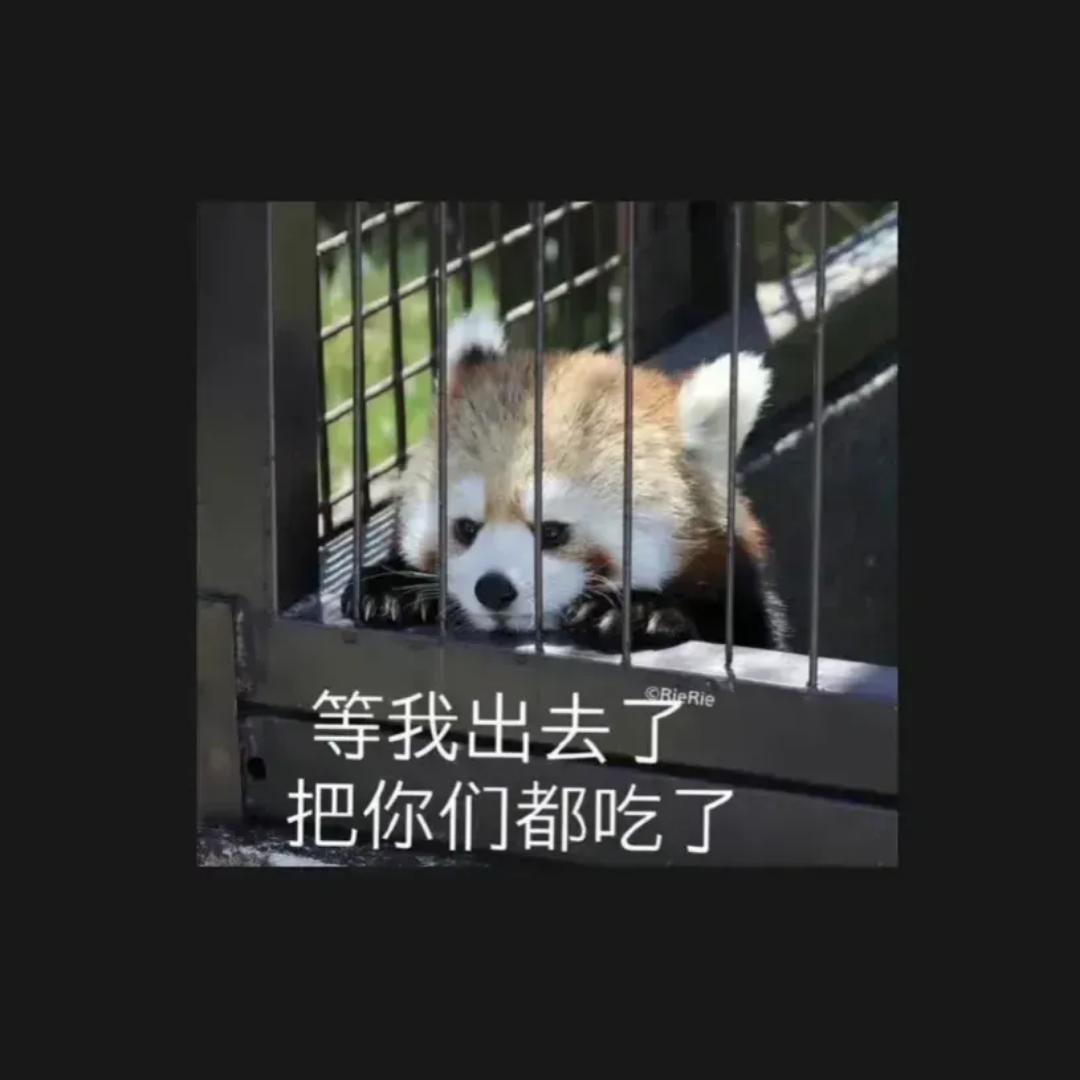 了不起的肉饼吉吉