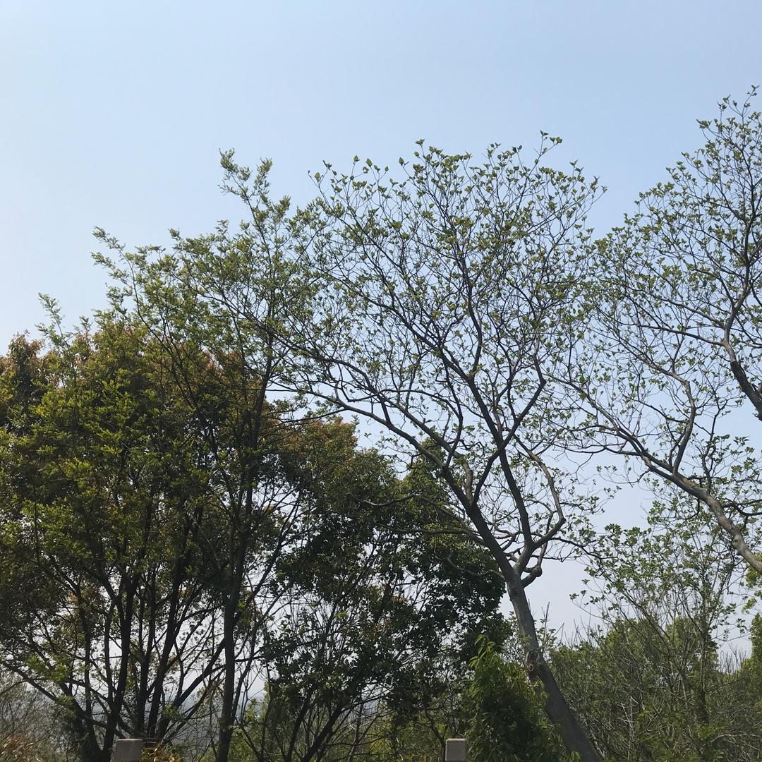 小A的日常