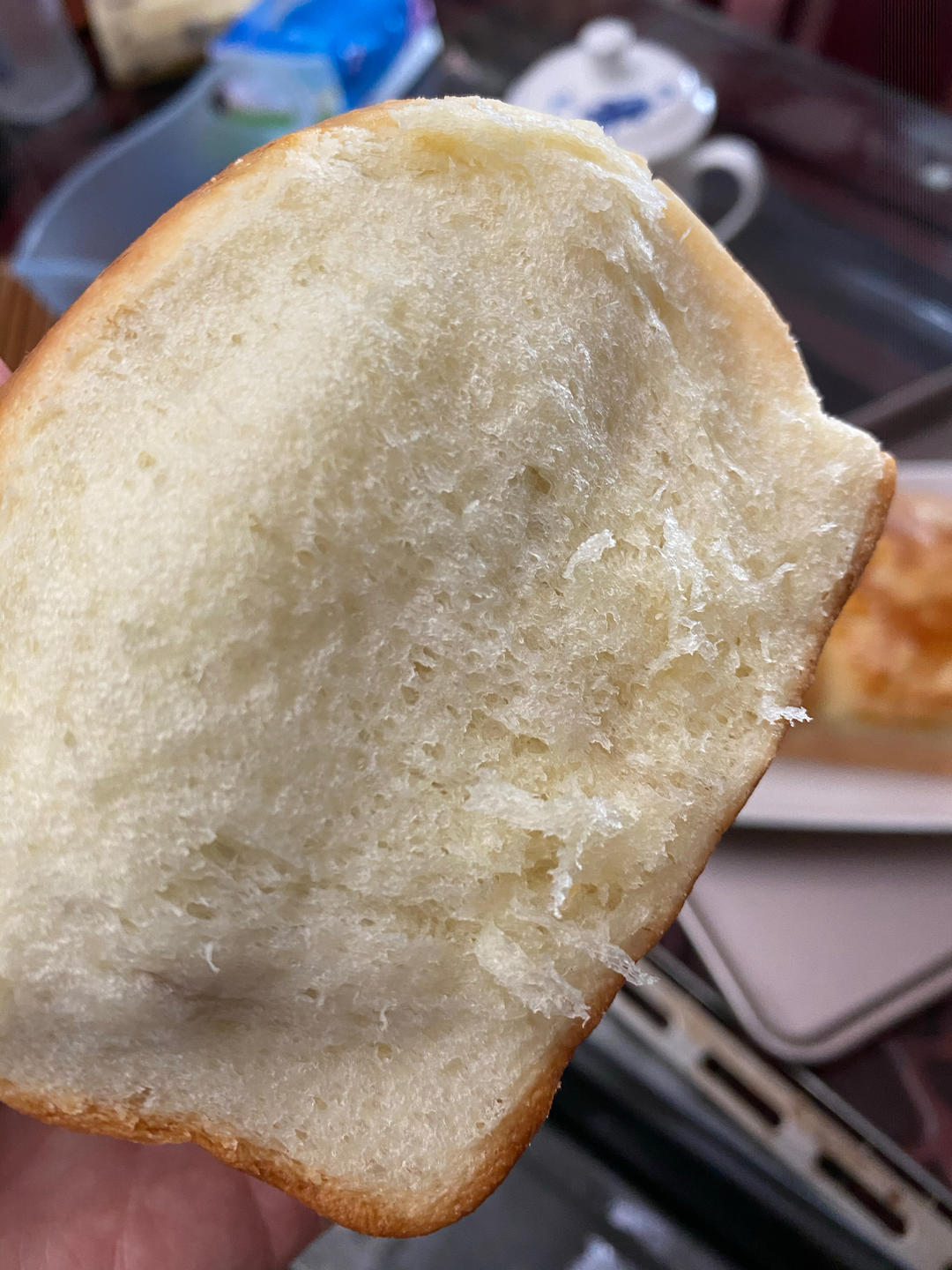 波兰种——最详细的状态攻略