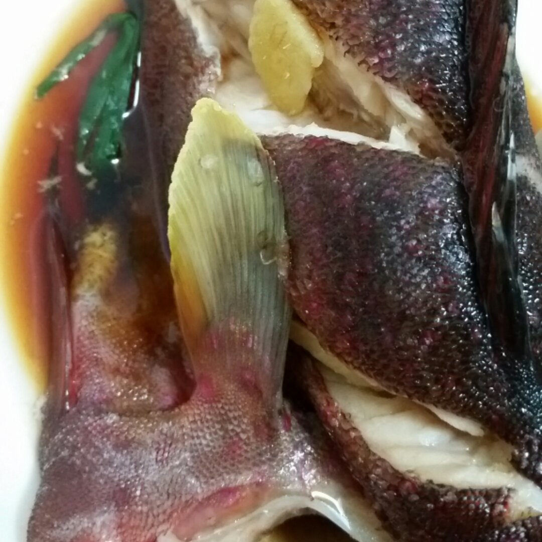 清蒸东星斑