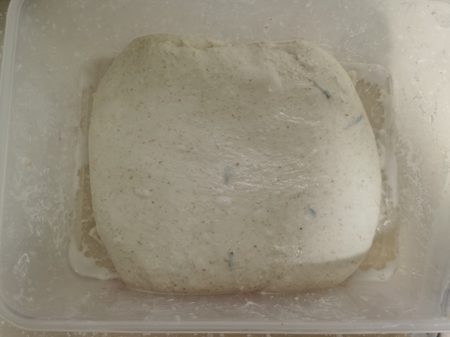 超高颜值天然酵母意大利佛卡夏面包focaccia（附土豆泥版）的做法 步骤4