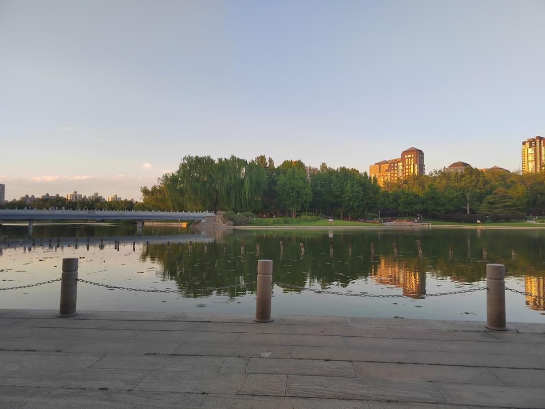 素三鲜饺子