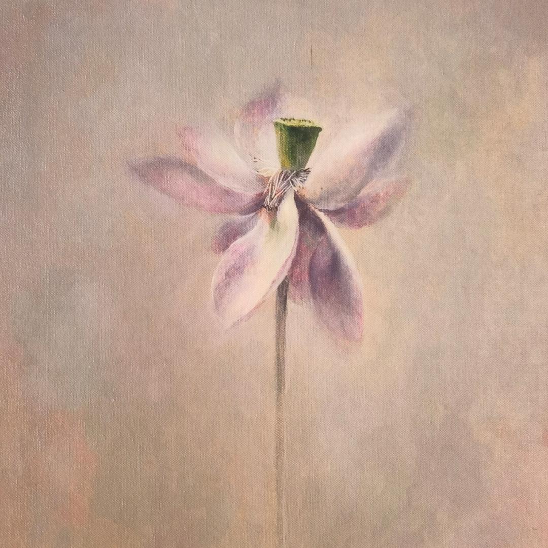 蜗牛cxp