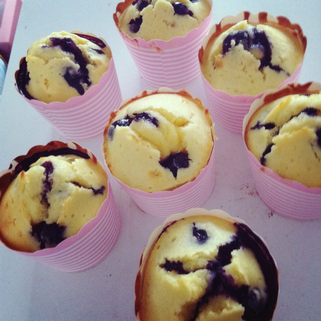 鲜奶油蓝莓纸杯蛋糕 Blueberry Crème  fraîche cupcake