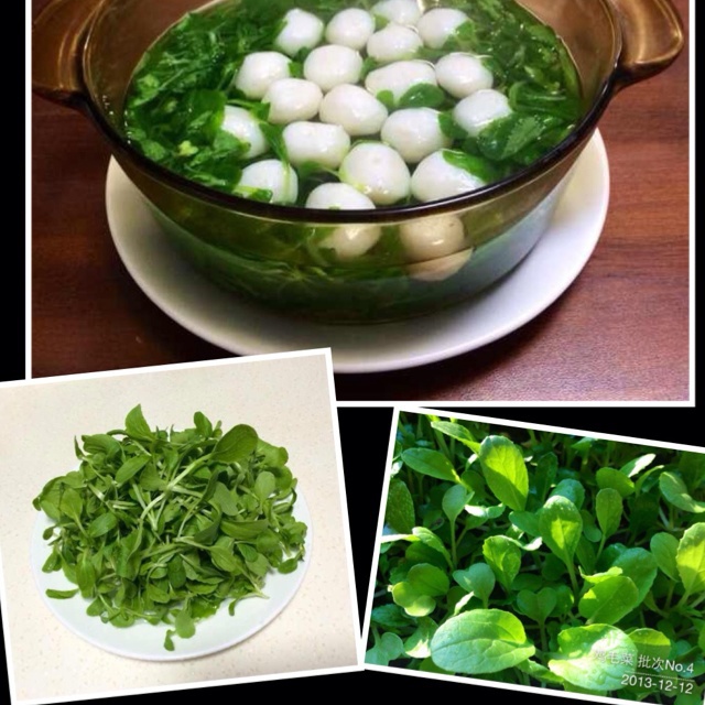 清汤鸡毛菜