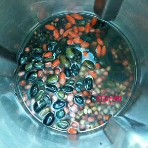 红豆薏米黑豆米糊的做法 步骤4