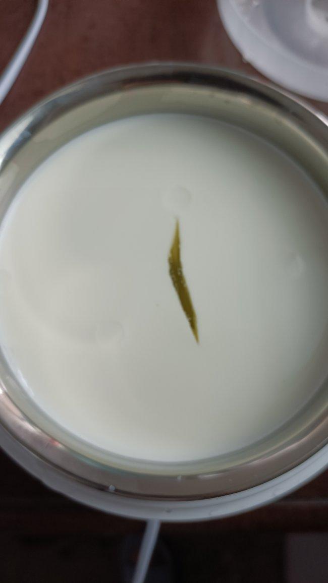 酸奶机自制酸奶