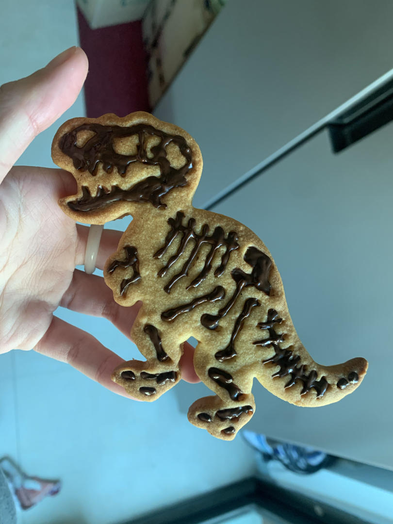 视频🦕恐龙化石饼干｜孩子们的侏罗纪公园梦｜无蛋配方